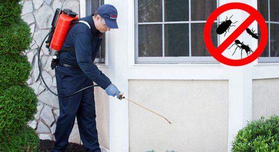 Gümüldür Dezenfeksiyon böcek ilaçlama ve haşere kontrolü — ilaclama-tr.com